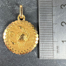Load image into Gallery viewer, French Perroud Large Cancer Zodiac Starsign 18K Yellow Gold Charm Pendant