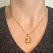 Load image into Gallery viewer, French Capricorn Starsign Zodiac 18K Yellow Gold Charm Medal Pendant
