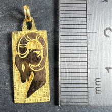 Load image into Gallery viewer, French Capricorn Ares Starsign Zodiac 18K Yellow Gold Charm Medal Pendant