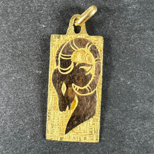 Load image into Gallery viewer, French Capricorn Ares Starsign Zodiac 18K Yellow Gold Charm Medal Pendant
