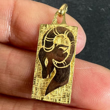 Load image into Gallery viewer, French Capricorn Ares Starsign Zodiac 18K Yellow Gold Charm Medal Pendant
