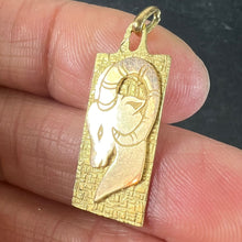 Load image into Gallery viewer, French Capricorn Ares Starsign Zodiac 18K Yellow Gold Charm Medal Pendant