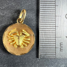 Load image into Gallery viewer, Vintage French Cancer Starsign Zodiac 18K Yellow Gold Charm Medal Pendant