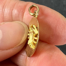 Load image into Gallery viewer, Vintage French Cancer Starsign Zodiac 18K Yellow Gold Charm Medal Pendant