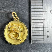 Load image into Gallery viewer, Vintage French Capricorn Starsign Zodiac 18K Yellow Gold Charm Medal Pendant