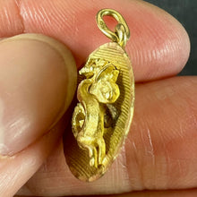 Load image into Gallery viewer, Vintage French Capricorn Starsign Zodiac 18K Yellow Gold Charm Medal Pendant