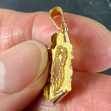 Load image into Gallery viewer, Vintage French Cancer Scroll  Zodiac 18K Yellow Gold Charm Pendant