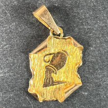 Load image into Gallery viewer, Vintage French Aquarius Scroll  Zodiac 18K Yellow Gold Charm Pendant