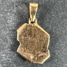 Load image into Gallery viewer, Vintage French Aquarius Scroll  Zodiac 18K Yellow Gold Charm Pendant