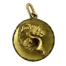 Load image into Gallery viewer, Vintage French Capricorn Starsign Zodiac 18K Yellow Gold Charm Medal Pendant