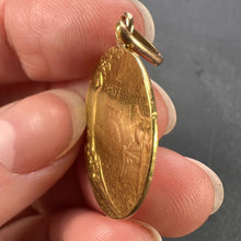 Load image into Gallery viewer, French Bonheur Good Luck 18K Yellow Gold Lucky Charm Medal Pendant