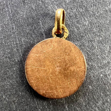 Load image into Gallery viewer, Small French Virgin Mary 18K Yellow Gold Medal Charm Pendant