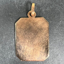 Load image into Gallery viewer, French First Communion 18K Yellow Rose Gold Medal Charm Pendant