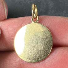 Load image into Gallery viewer, Cancer Starsign Zodiac 18K Yellow Gold Charm Medal Pendant