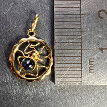Load image into Gallery viewer, Blue Sapphire Spider 18K Yellow Gold Charm Pendant