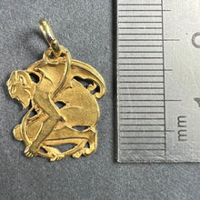 Load image into Gallery viewer, Devil 18K Yellow Gold Good Luck Charm Pendant
