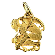 Load image into Gallery viewer, Devil 18K Yellow Gold Good Luck Charm Pendant