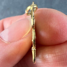 Load image into Gallery viewer, Devil 18K Yellow Gold Good Luck Charm Pendant