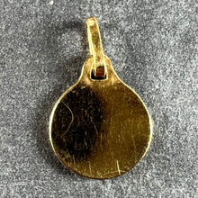 Load image into Gallery viewer, Small French Virgin Mary 18K Yellow Gold Medal Pendant Charm