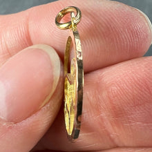 Load image into Gallery viewer, French Zodiac Capricorn Starsign 18K Yellow Gold Charm Pendant