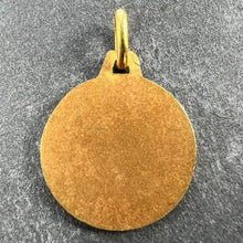 Load image into Gallery viewer, French 18K Yellow Gold Zodiac Virgo Charm Pendant