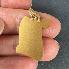 Load image into Gallery viewer, French Augis Plus Qu’Hier Scroll 18K Yellow Gold Enamel Love Charm Pendant