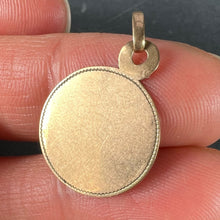 Load image into Gallery viewer, French Virgin Mary 18K Rose Gold Charm Pendant