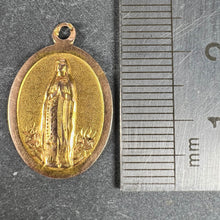 Load image into Gallery viewer, French Virgin Mary 18K Yellow Rose Gold Medal Charm Pendant