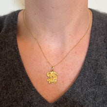 Load image into Gallery viewer, Devil 18K Yellow Gold Good Luck Charm Pendant