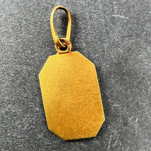 Load image into Gallery viewer, French Art Nouveau Stripes and Roses Yellow Gold Charm Pendant