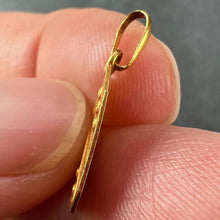 Load image into Gallery viewer, French Art Nouveau Stripes and Roses Yellow Gold Charm Pendant