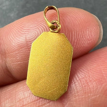 Load image into Gallery viewer, French Art Nouveau Stripes and Roses Yellow Gold Charm Pendant