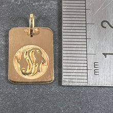 Load image into Gallery viewer, French Pisces Starsign Zodiac 18K Yellow Gold Charm Medal Pendant