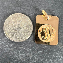 Load image into Gallery viewer, French Pisces Starsign Zodiac 18K Yellow Gold Charm Medal Pendant