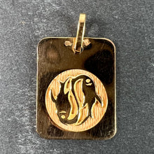 Load image into Gallery viewer, French Pisces Starsign Zodiac 18K Yellow Gold Charm Medal Pendant
