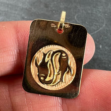Load image into Gallery viewer, French Pisces Starsign Zodiac 18K Yellow Gold Charm Medal Pendant