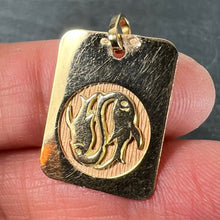 Load image into Gallery viewer, French Pisces Starsign Zodiac 18K Yellow Gold Charm Medal Pendant