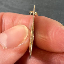 Load image into Gallery viewer, French Pisces Starsign Zodiac 18K Yellow Gold Charm Medal Pendant