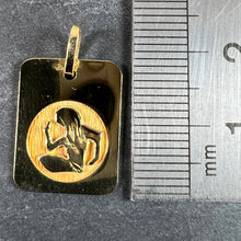 Load image into Gallery viewer, French Virgo Starsign Zodiac 18K Yellow Gold Charm Medal Pendant