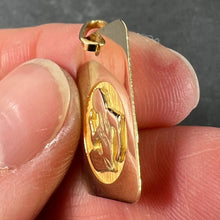 Load image into Gallery viewer, French Virgo Starsign Zodiac 18K Yellow Gold Charm Medal Pendant