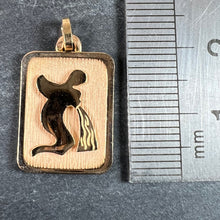 Load image into Gallery viewer, French Aquarius Starsign Zodiac 18K Yellow Gold Charm Medal Pendant