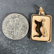 Load image into Gallery viewer, French Aquarius Starsign Zodiac 18K Yellow Gold Charm Medal Pendant