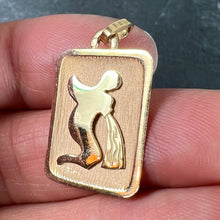 Load image into Gallery viewer, French Aquarius Starsign Zodiac 18K Yellow Gold Charm Medal Pendant