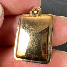 Load image into Gallery viewer, French Scorpio Starsign Zodiac 18K Yellow Gold Charm Medal Pendant