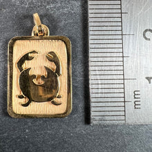 Load image into Gallery viewer, French Cancer Starsign Zodiac 18K Yellow Gold Charm Medal Pendant