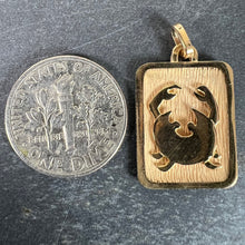 Load image into Gallery viewer, French Cancer Starsign Zodiac 18K Yellow Gold Charm Medal Pendant