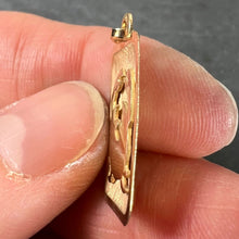 Load image into Gallery viewer, French Cancer Starsign Zodiac 18K Yellow Gold Charm Medal Pendant