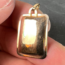 Load image into Gallery viewer, French Gemini Starsign Zodiac 18K Yellow Gold Charm Medal Pendant