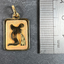 Load image into Gallery viewer, French Aquarius Starsign Zodiac 18K Yellow Gold Charm Medal Pendant
