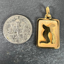 Load image into Gallery viewer, French Aquarius Starsign Zodiac 18K Yellow Gold Charm Medal Pendant